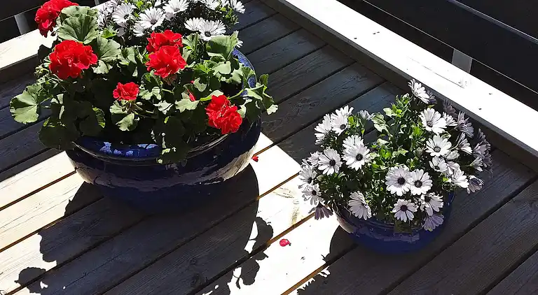 Holiday home in Grønninghoved Strand