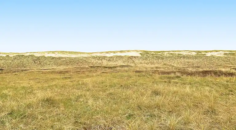 Ferienhaus am Vrist Strand