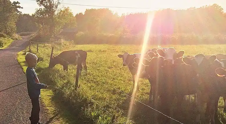 Holiday home in Orust