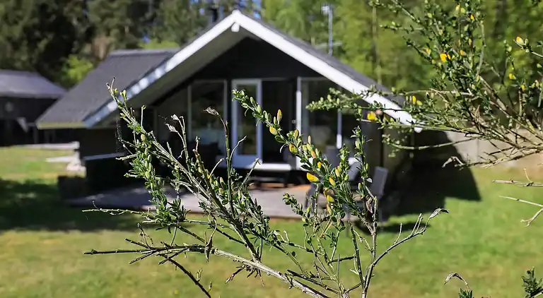 Sommerhus i Sæby
