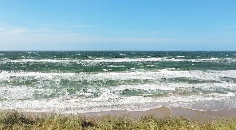 Sommerhus ved Nr Lyngby Strand