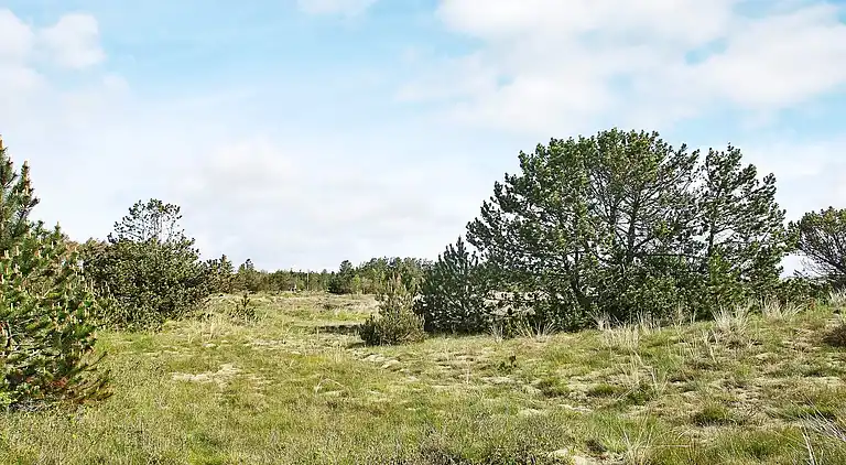 Holiday home in Ålbæk