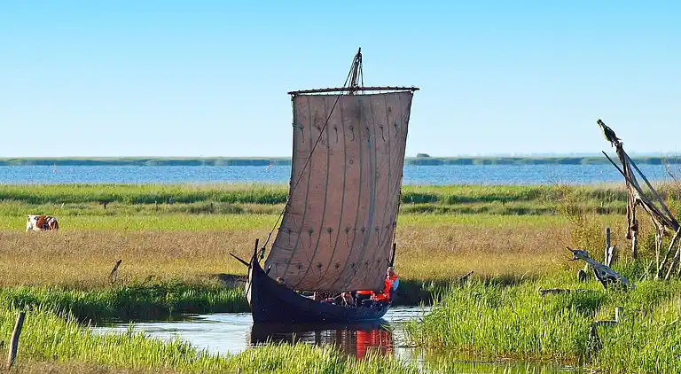 Sommerhus i Bork Havn