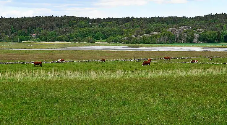 Holiday home in Orust