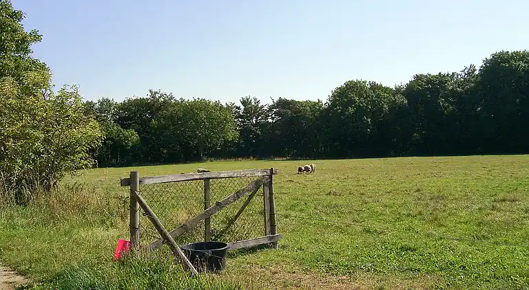 Feriebolig i Aakirkeby