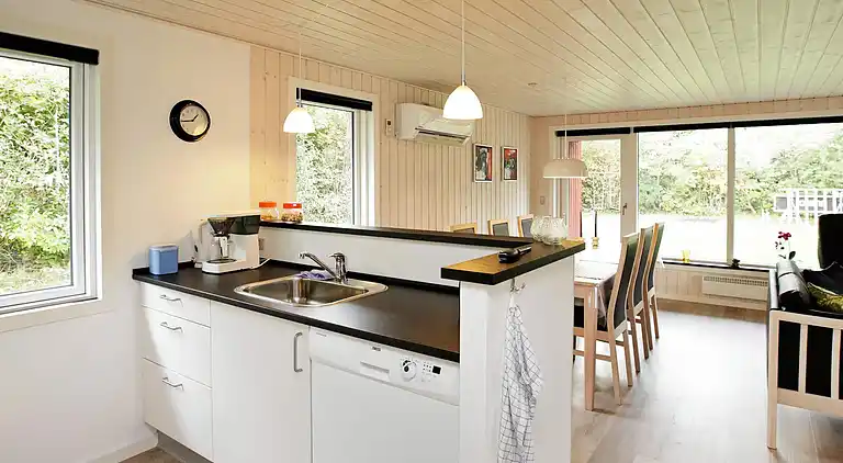 Sommerhus ved Skaven Strand