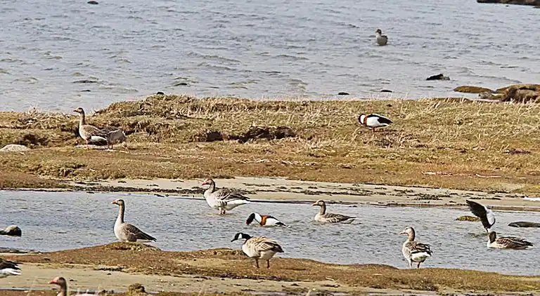 Holiday home in Orust