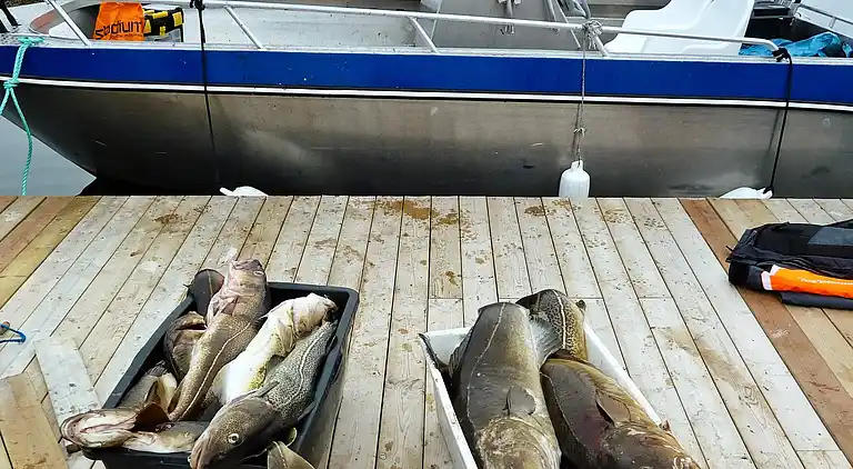 Holiday home in Lyngen