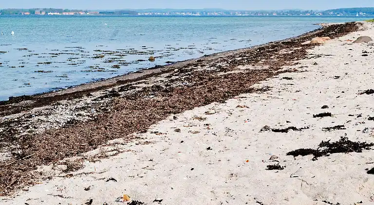 Sommerhus i Svendborg