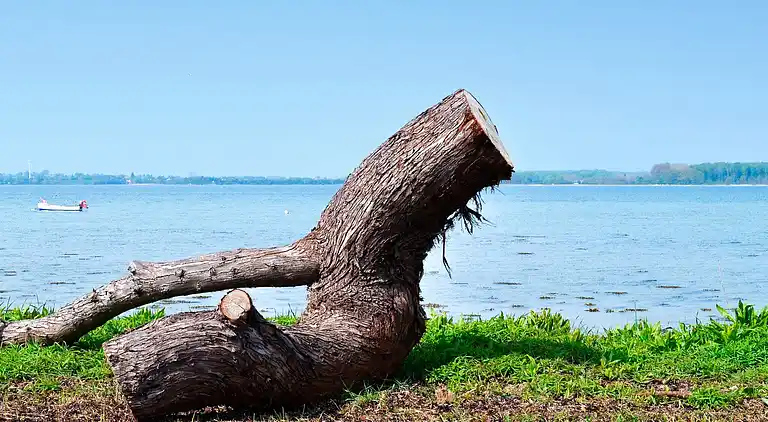 Sommerhus i Svendborg