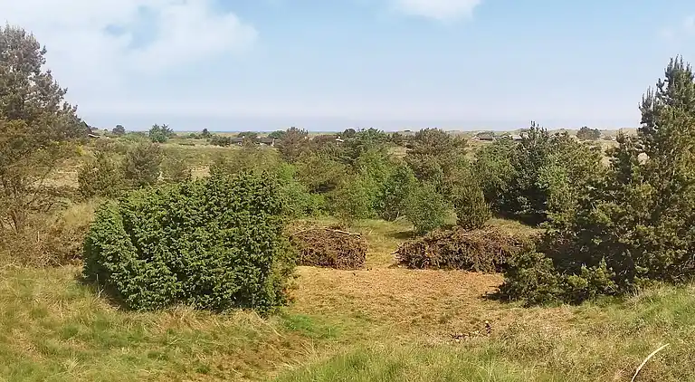 Holiday home in Bindslev