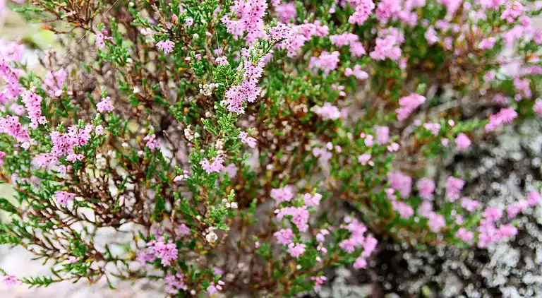 Holiday home in Andvik