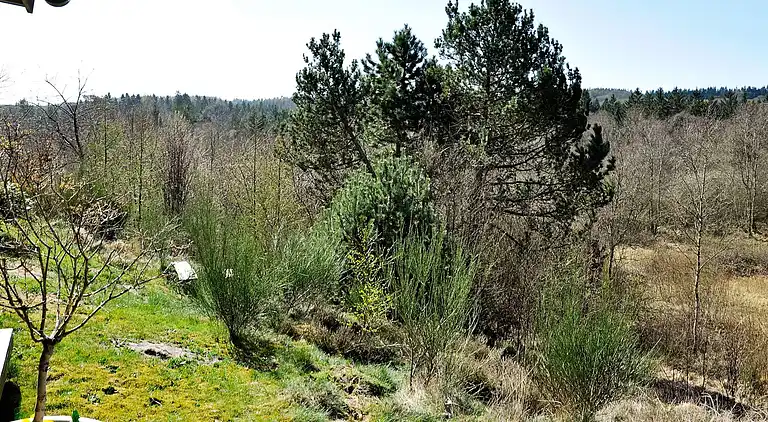 Feriebolig i Silkeborg