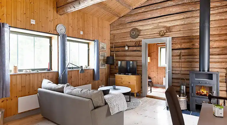 Sommerhus i Torsby V