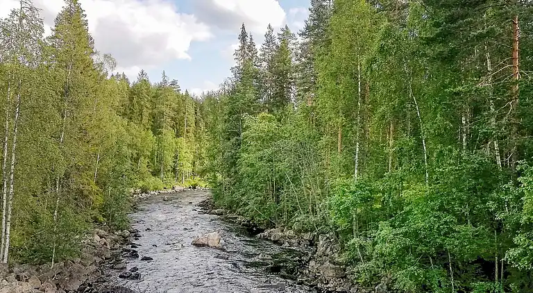 Sommerhus i Torsby V