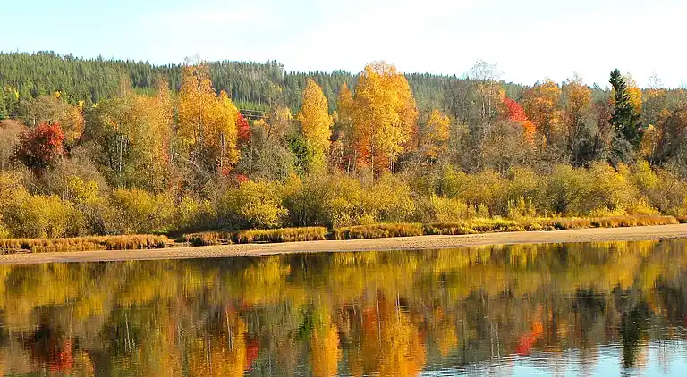 Sommerhus i Torsby V