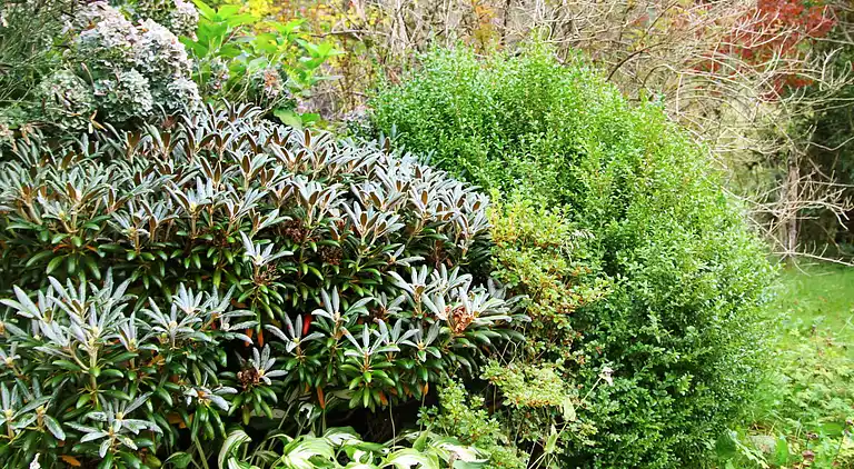 Holiday home in Andvik