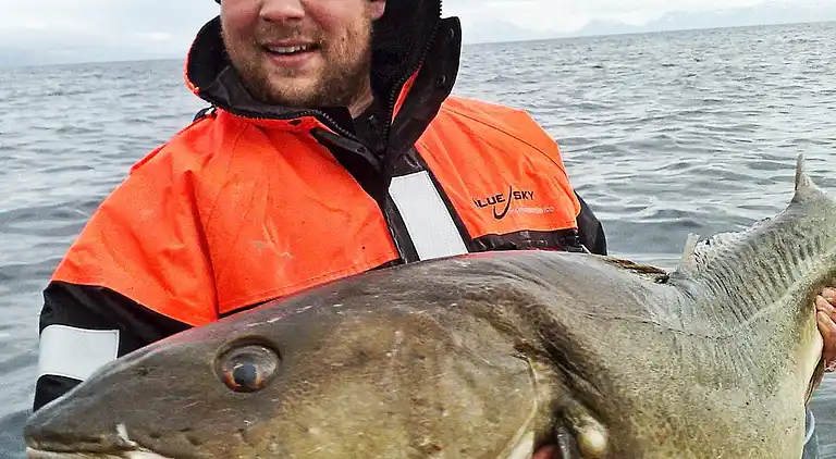 Holiday home in Akkarvik