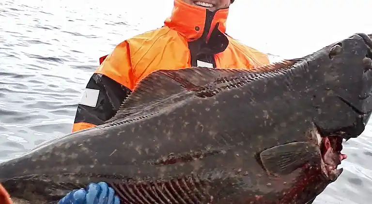 Holiday home in Akkarvik