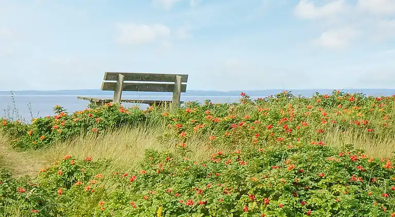 Vakantiehuis in Allarp