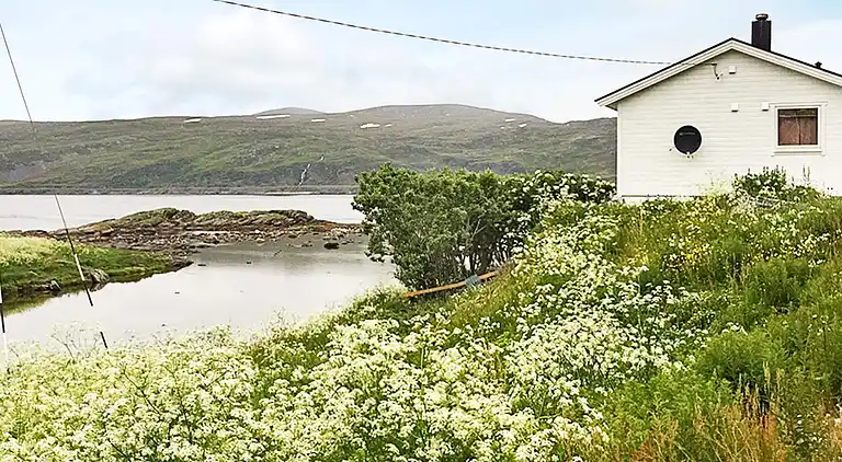 Holiday home in Breivikbotn