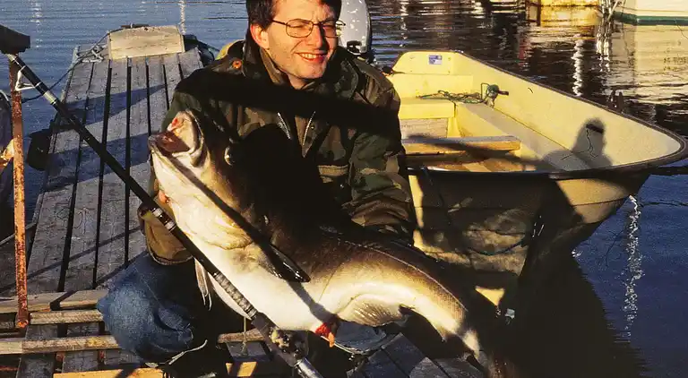 Holiday home in Torsken Municipality
