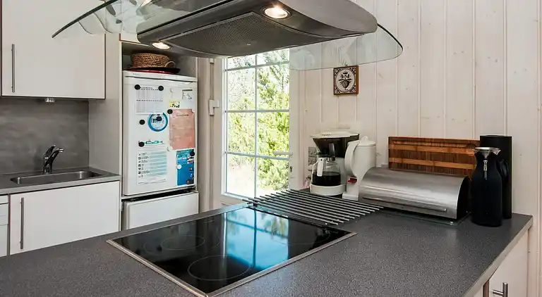 Sommerhus i Kongsmark