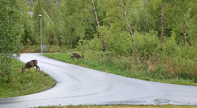 Holiday home in Selneset