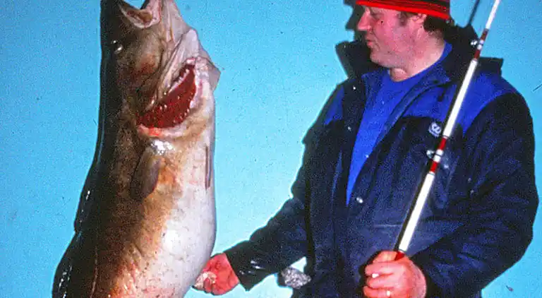 Holiday home in Breivikbotn