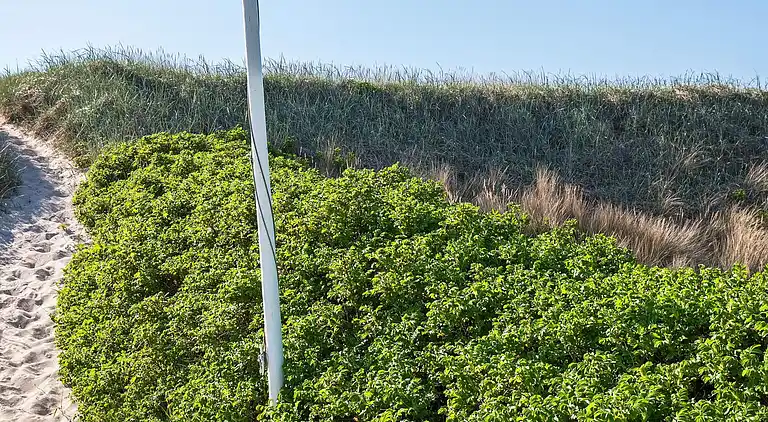 Holiday home in Vrist Strand