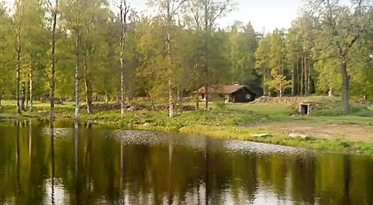 Semesterbostad i Uppvidinge S