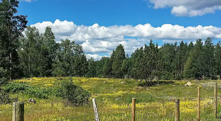 Holiday home in Hultsfred S