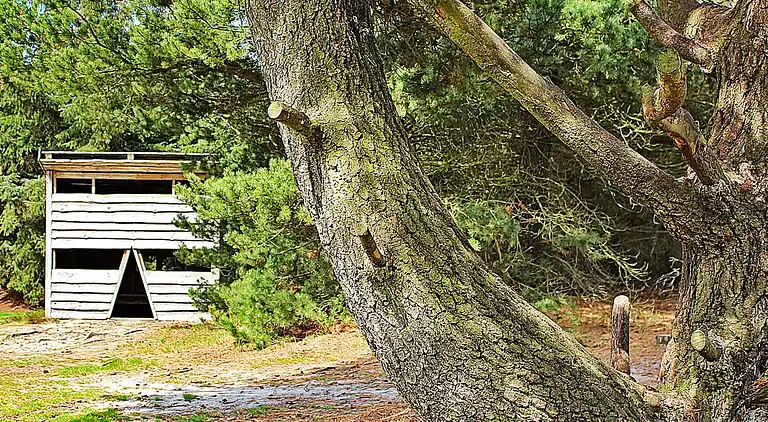 Holiday home in Ulfborg