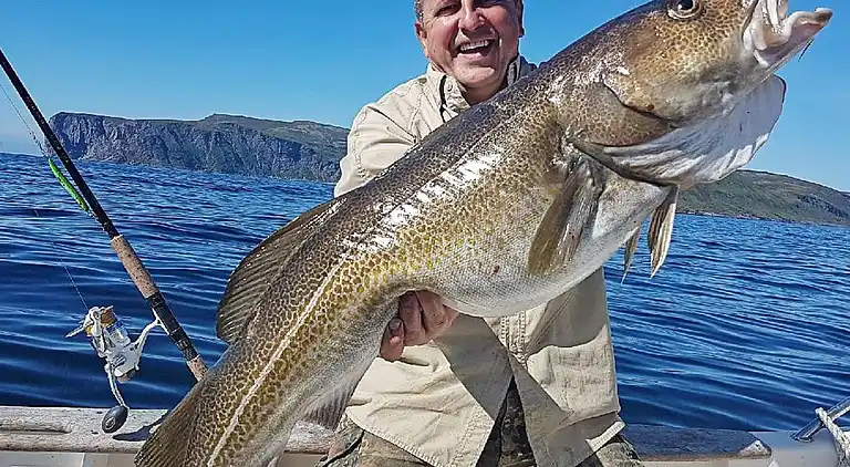 Holiday home in Breivikbotn