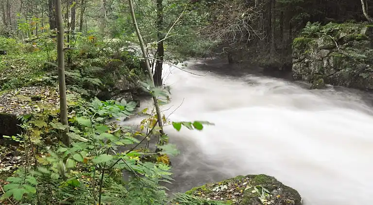 Sommerhus i Torsby V