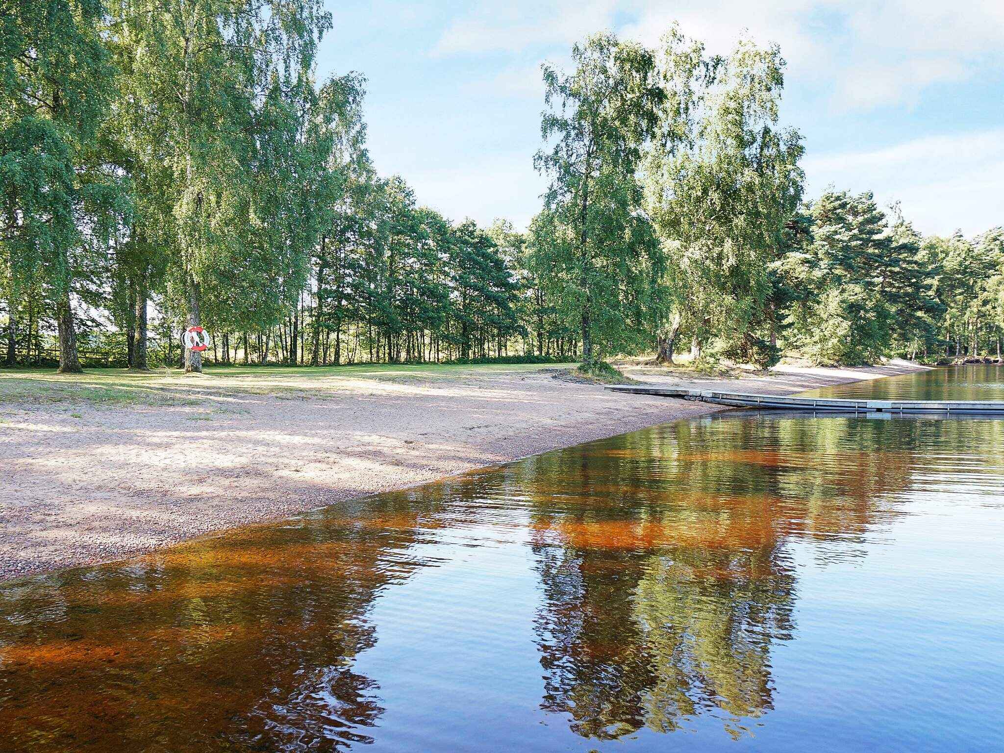 Large Image