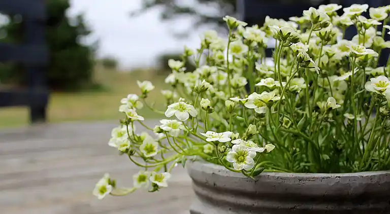 Holiday home in Blåvand