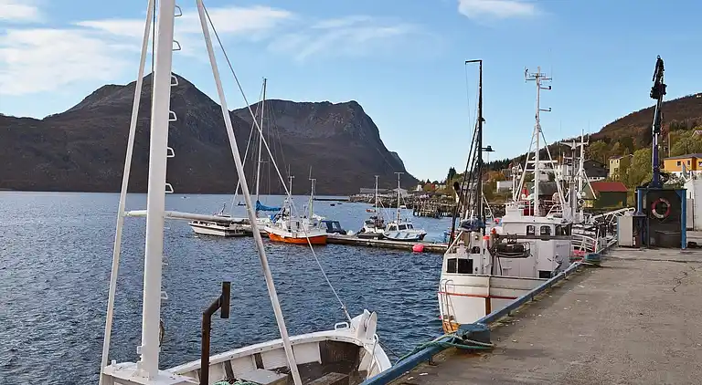 Holiday home in Torsken Municipality