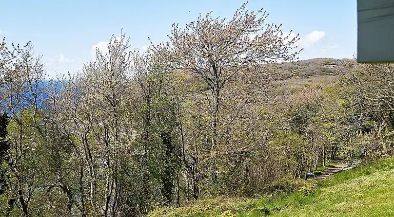 Holiday home in Allinge