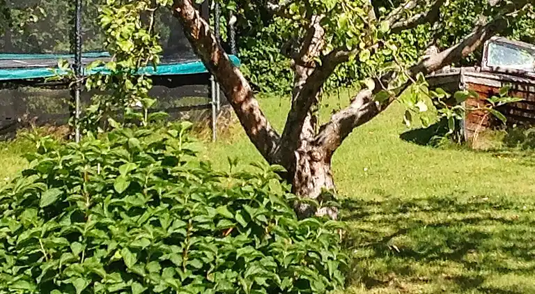 Holiday home in Ekerö Ö