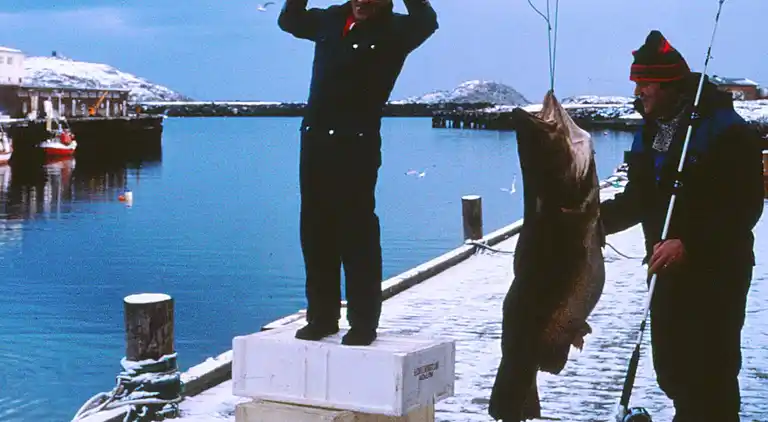 Holiday home in Breivikbotn