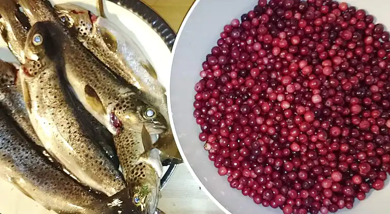 Casa vacanze in Indre Sanddal