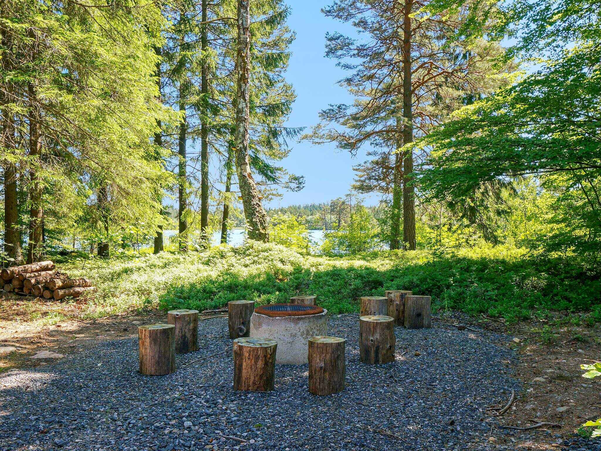 Large Image
