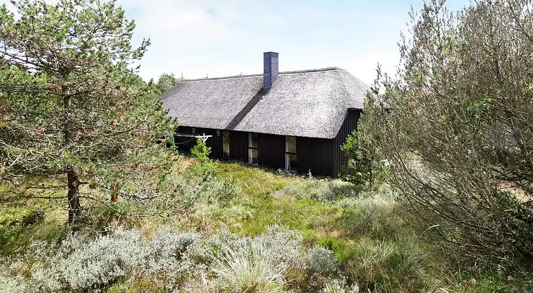 Holiday home in Blåvand