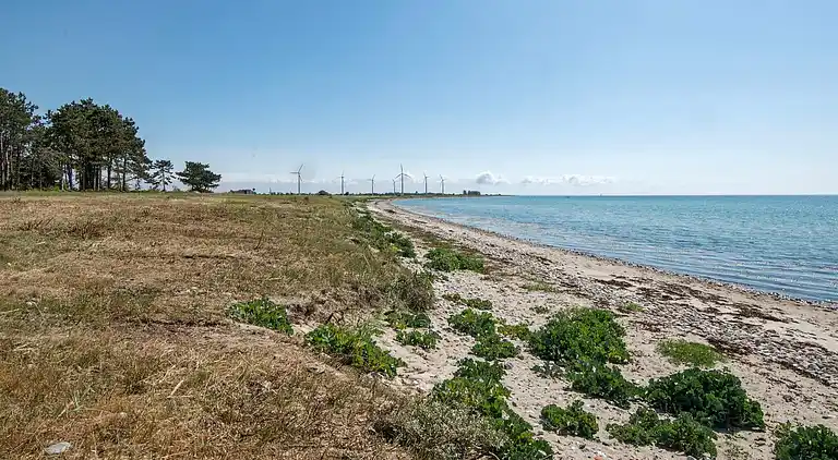 Sommerhus i Skovmose