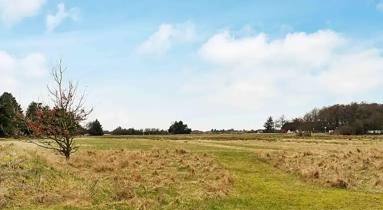 Sommerhus ved Sønderstrand