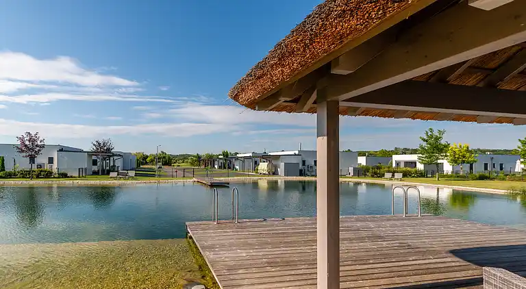 Apartment in Lutzmannsburg