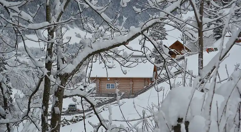 Cottage in Mörtschach
