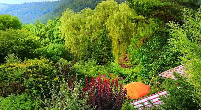 Chalet in Sougné-Remouchamps