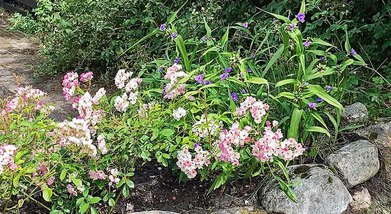 Sommerhus ved Fjellerup Strand